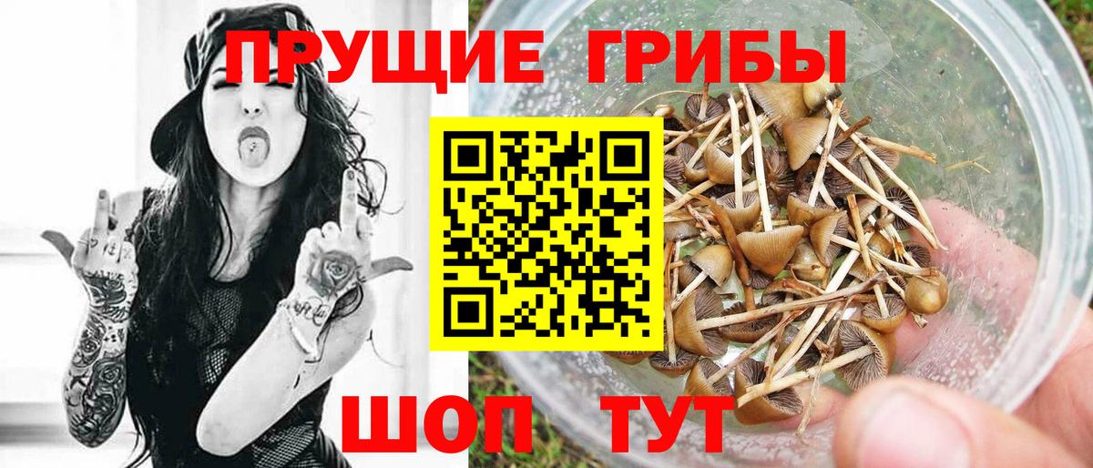 Галлюциногенные грибы Magic Shrooms Феодосия